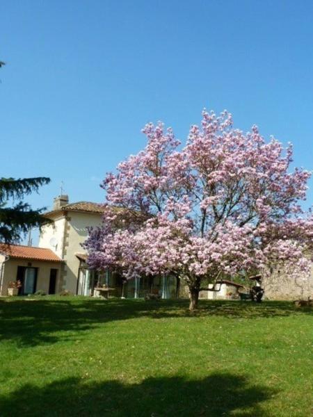 L'Oustal Chambres Et Tables D'Hotes Sonnac  Εξωτερικό φωτογραφία
